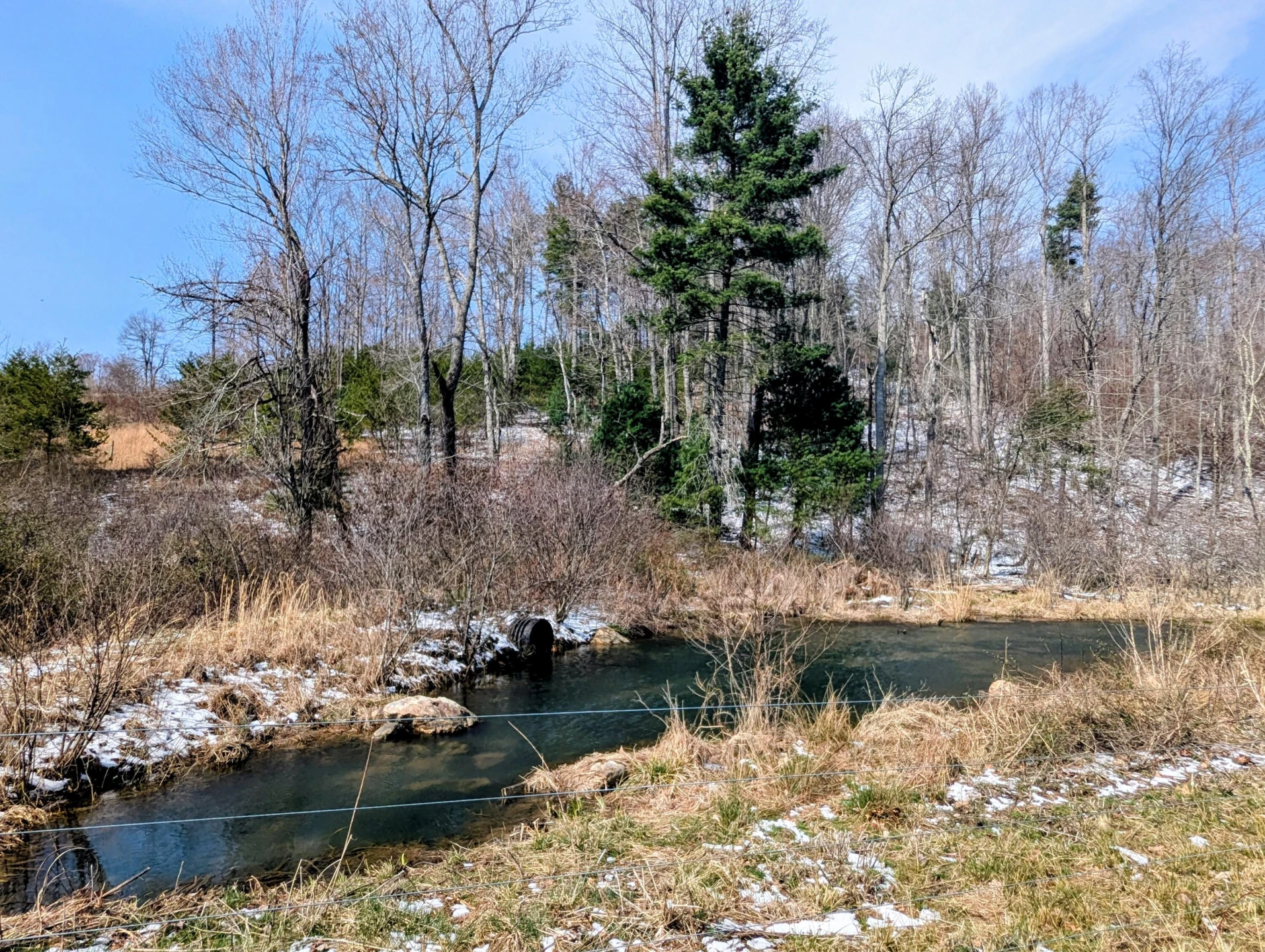 446 Good Neighbors RD NE - Photo 41