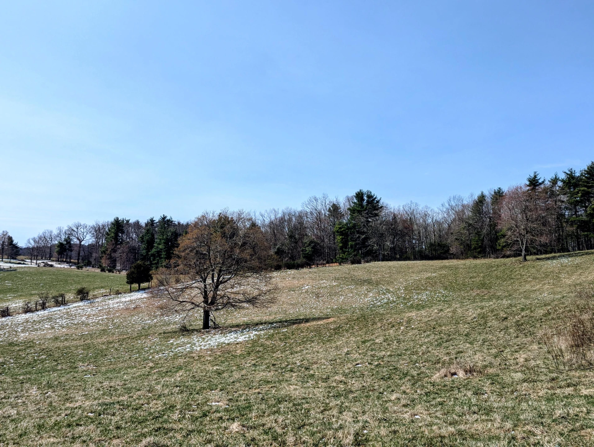 446 Good Neighbors RD NE - Photo 46