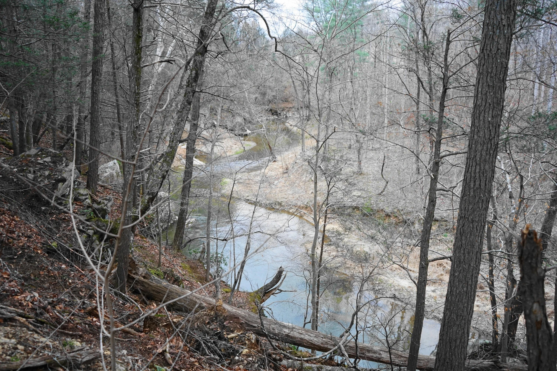 4670 Brookridge RD - Photo 63