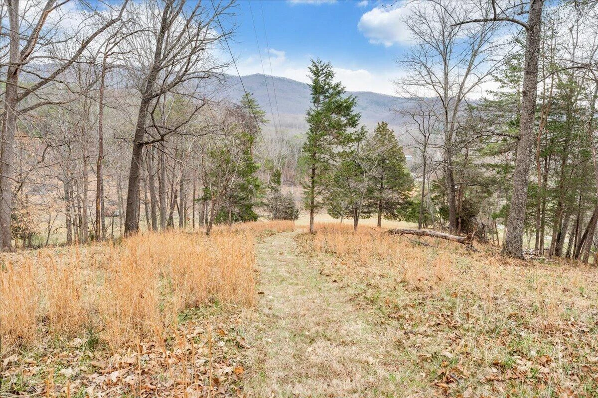 10924 Narrow Passage RD - Photo 59