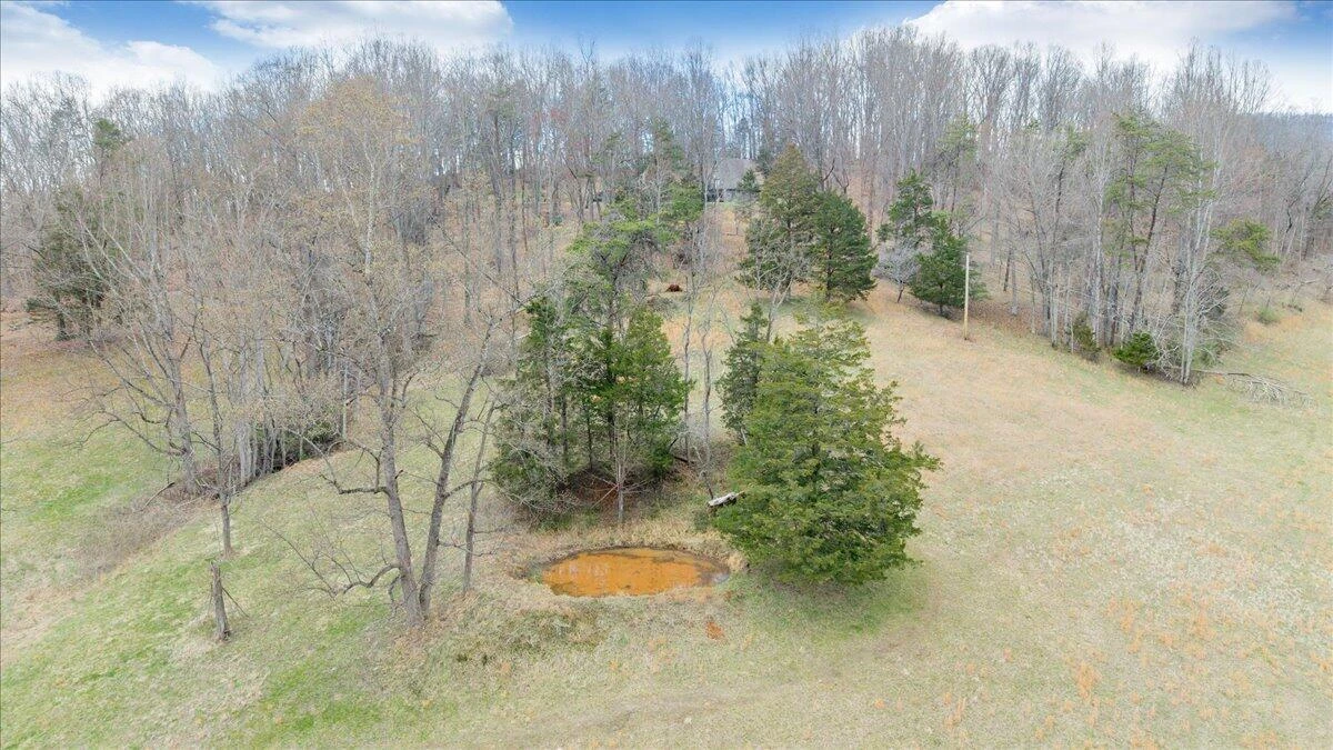 10924 Narrow Passage RD - Photo 67