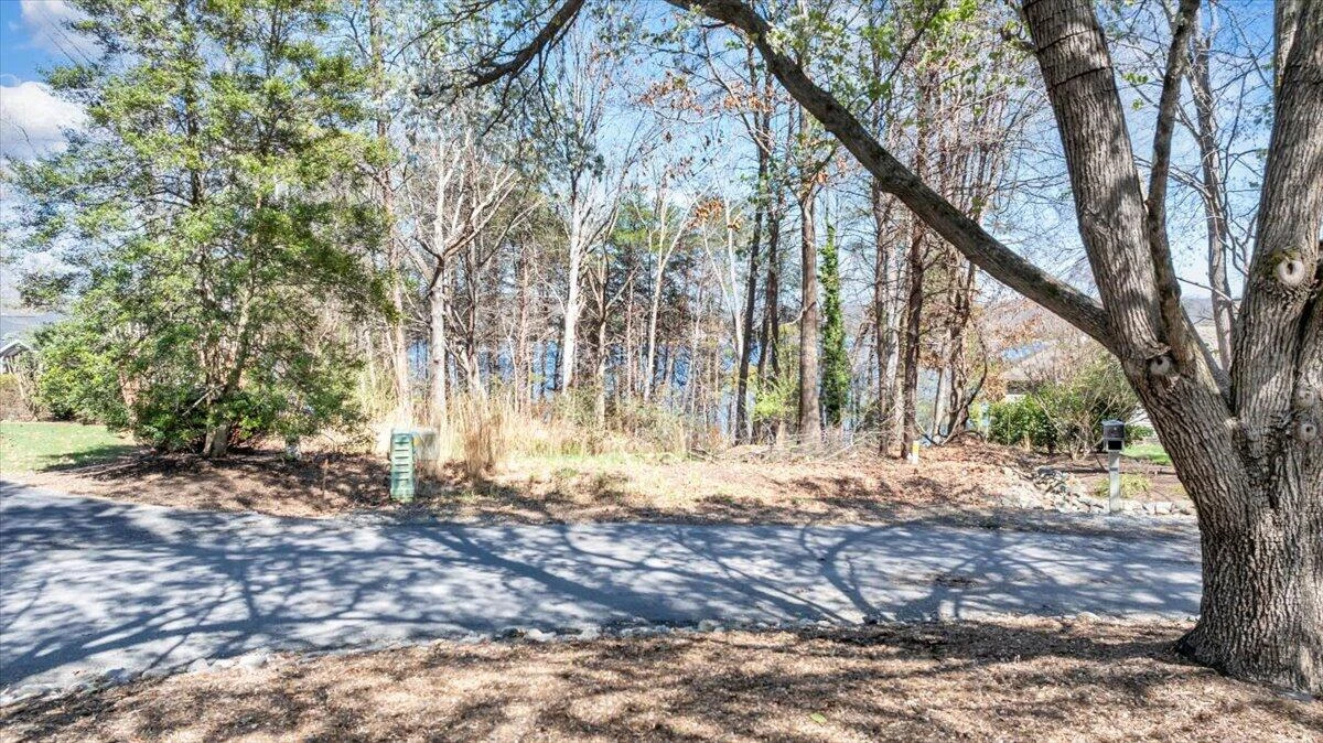 LOT 10 RIVERBAY DR - Photo 3