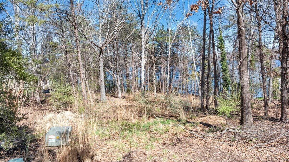 LOT 10 RIVERBAY DR - Photo 4