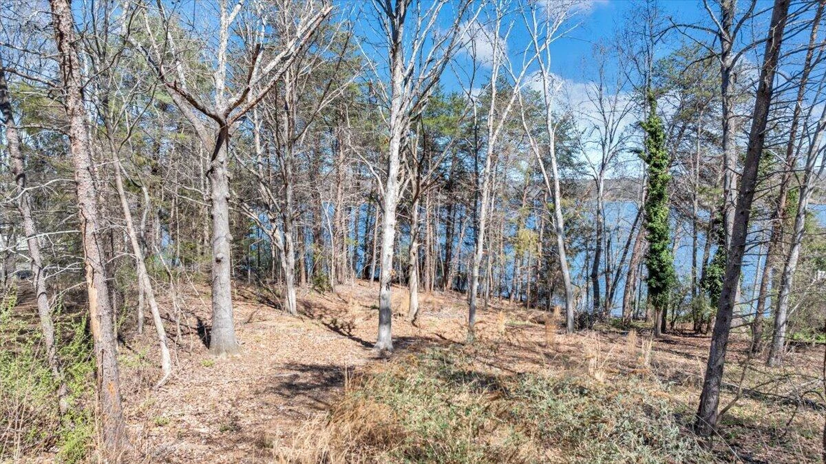 LOT 10 RIVERBAY DR - Photo 5