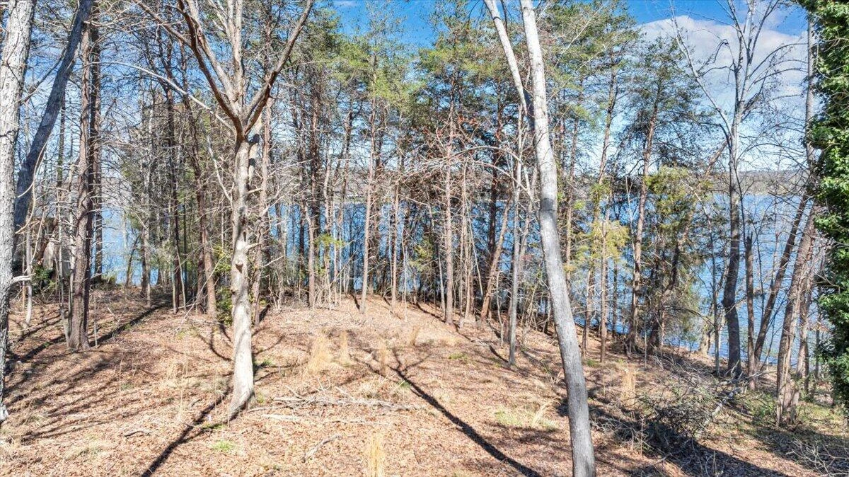 LOT 10 RIVERBAY DR - Photo 6