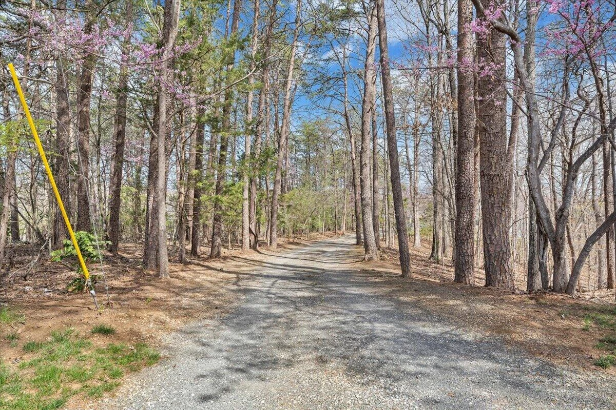 232 Peninsula DR - Photo 81