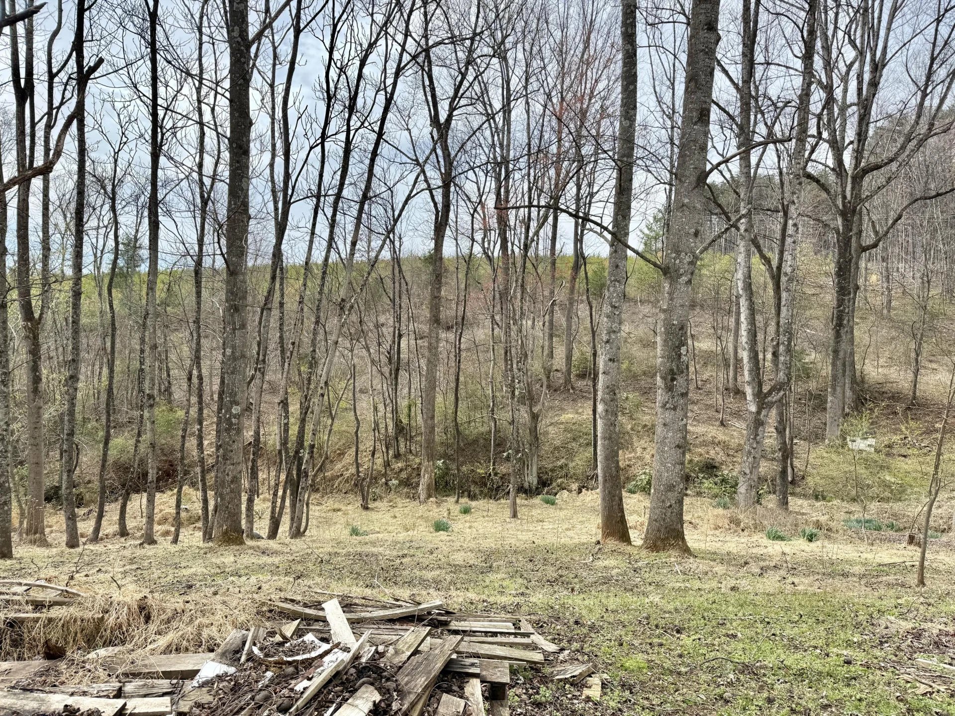 4947 Stones Dairy RD - Photo 13