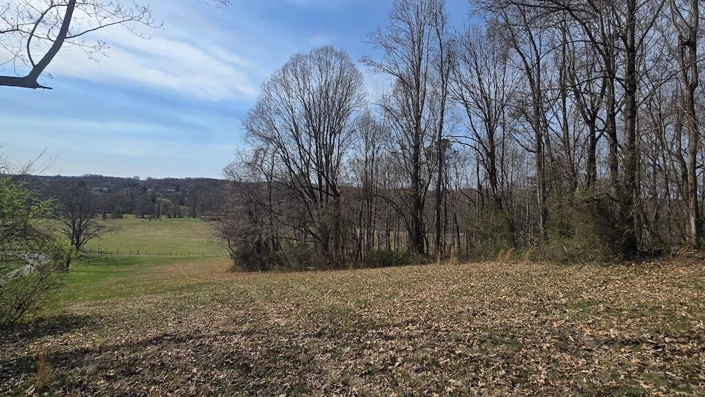 TBD Waterworks RD - Photo 2