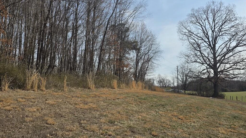 TBD Waterworks RD - Photo 3
