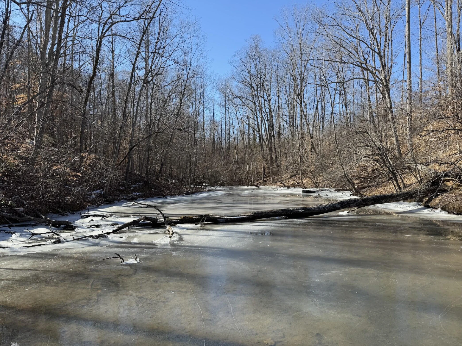 2085 Lakewood Forest RD - Photo 83