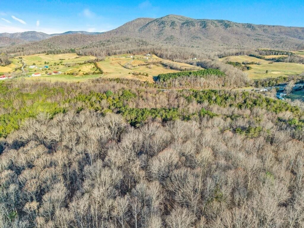 00 Lee HWY - Photo 8