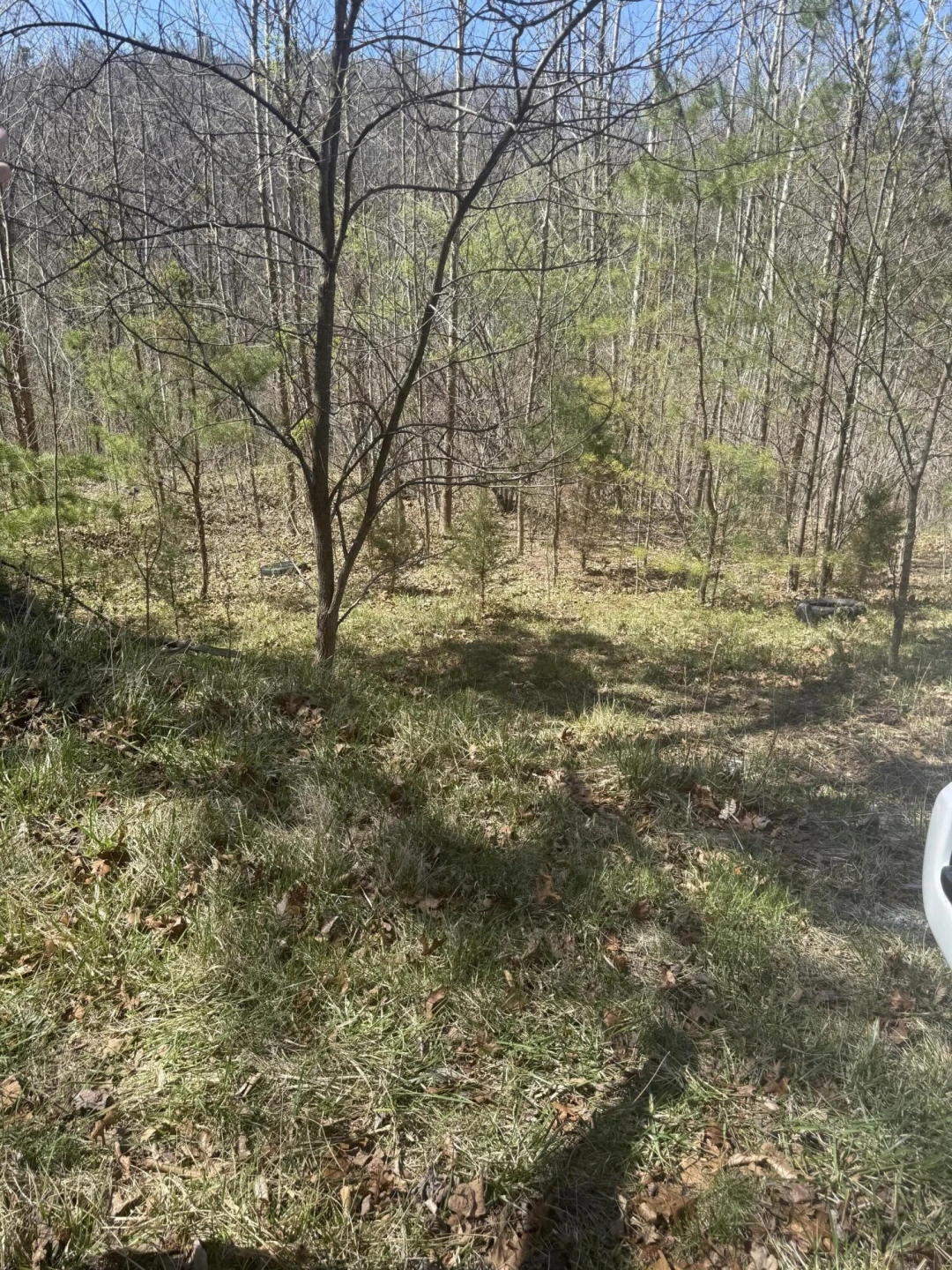000 Narrow Passage RD - Photo 10