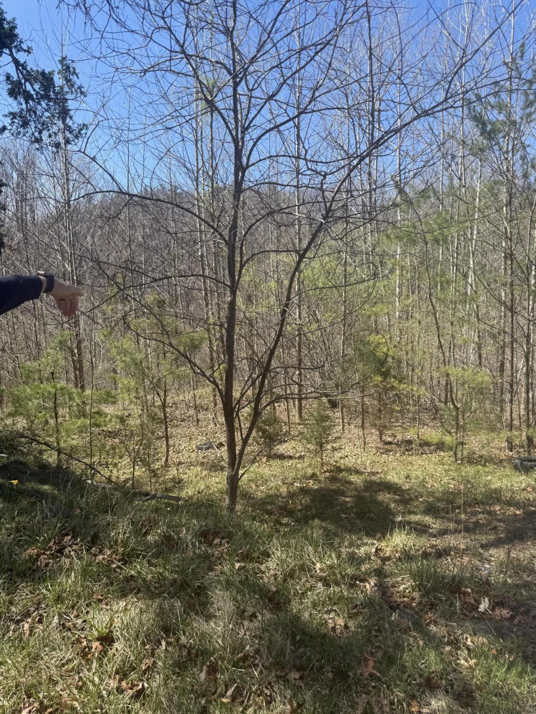 000 Narrow Passage RD - Photo 12