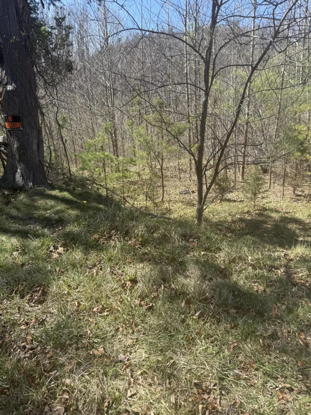 000 Narrow Passage RD - Photo 14
