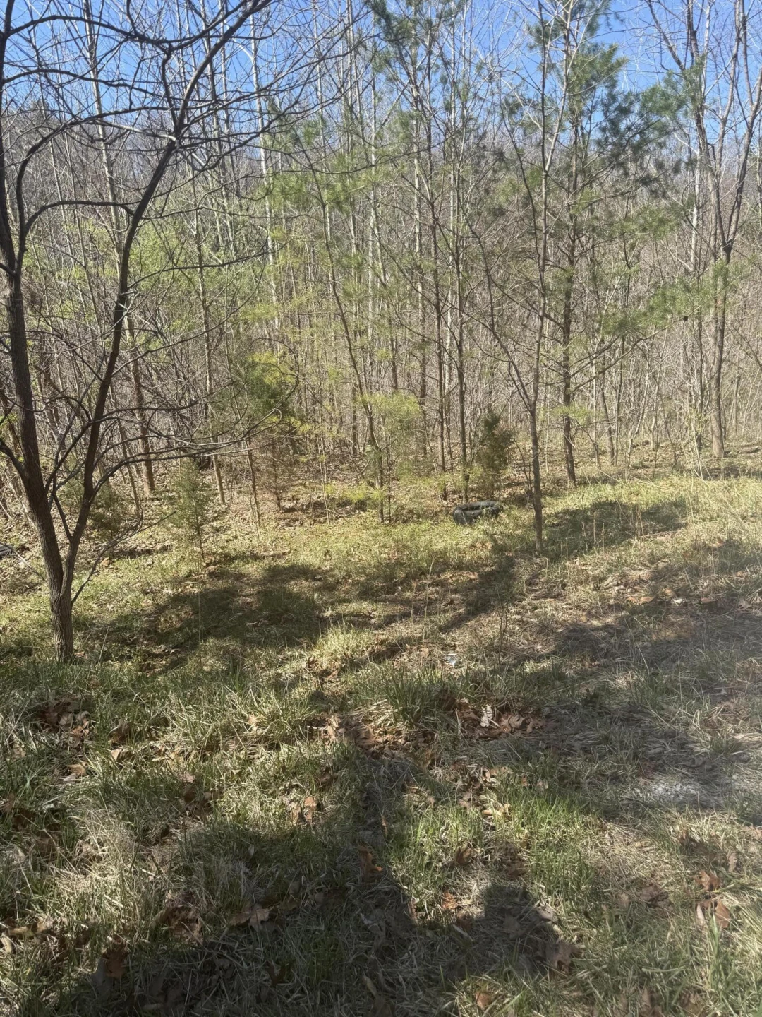 000 Narrow Passage RD - Photo 17