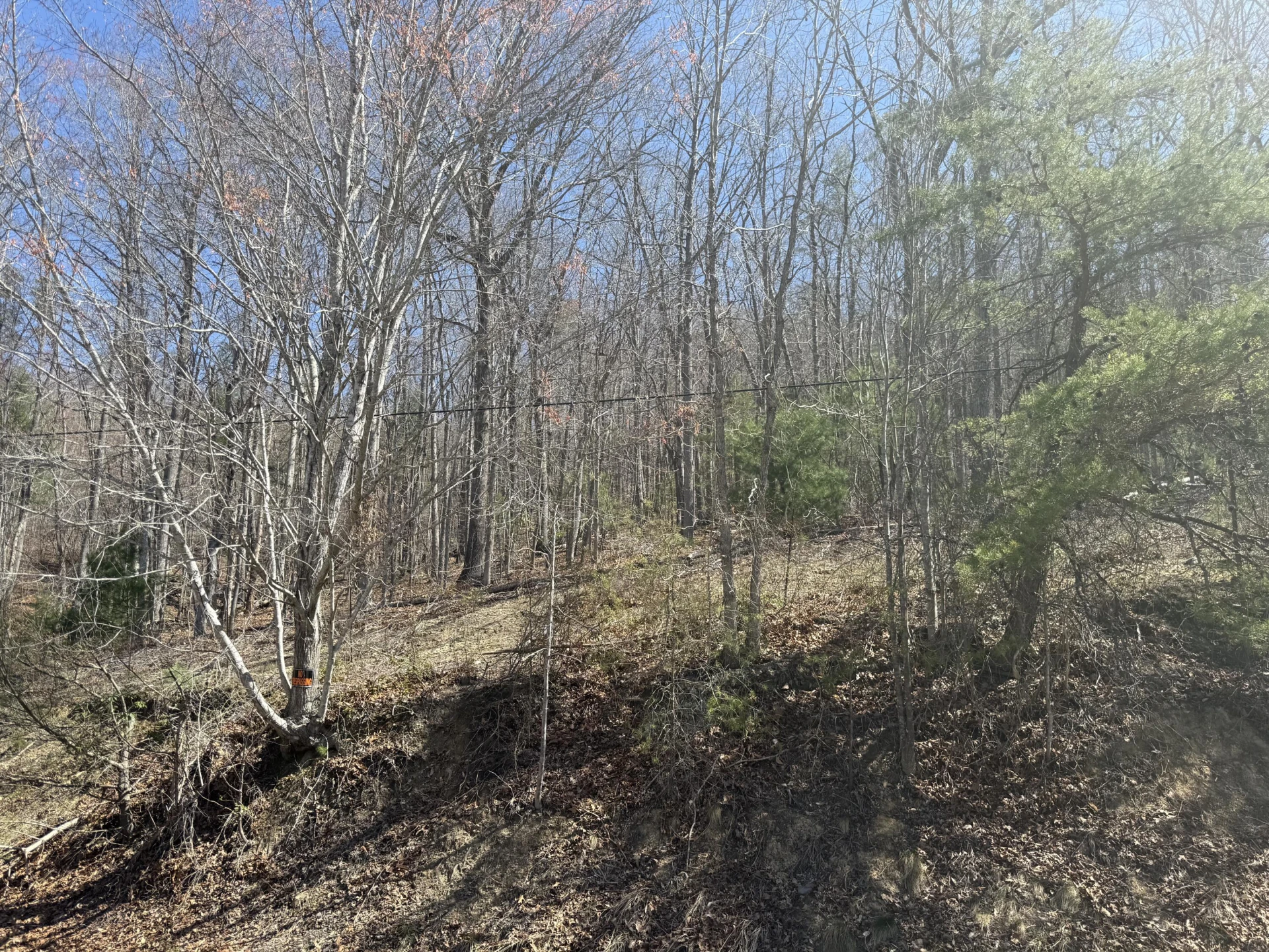 000 Narrow Passage RD - Photo 18