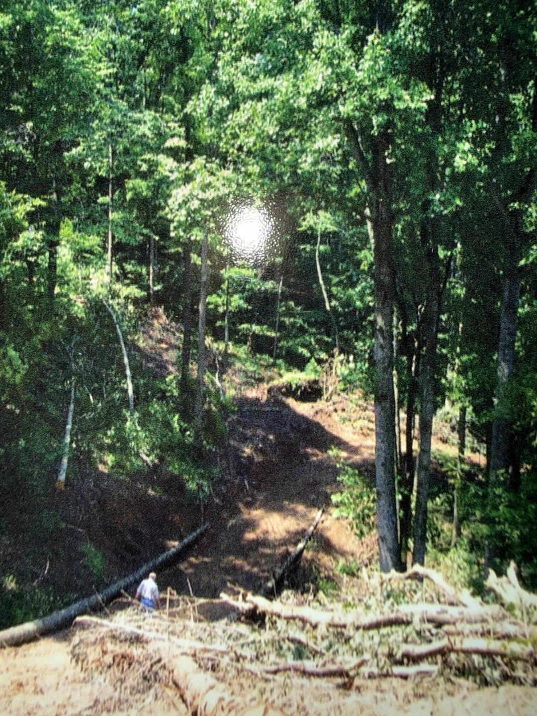 000 Narrow Passage RD - Photo 22