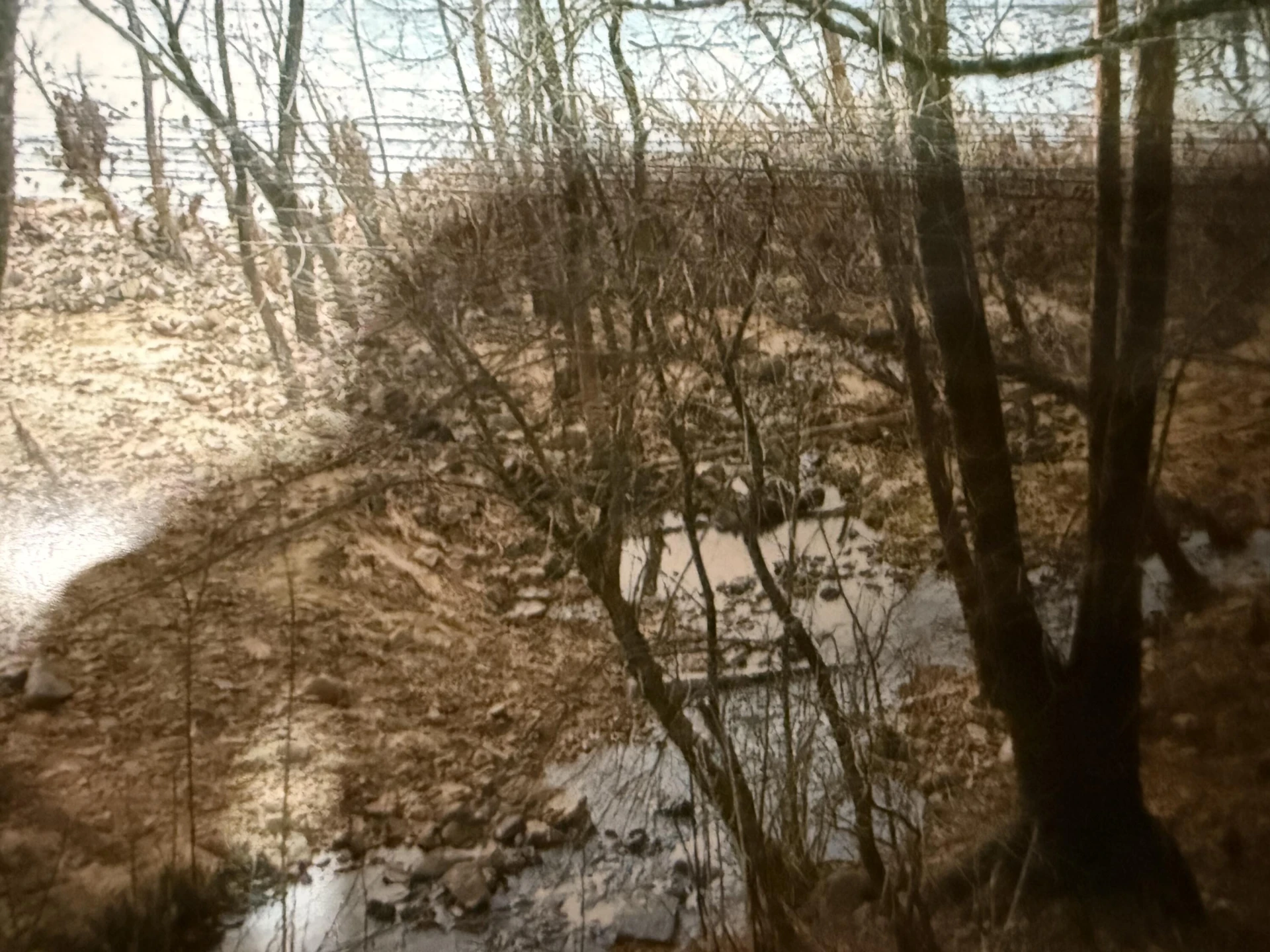 000 Narrow Passage RD - Photo 23