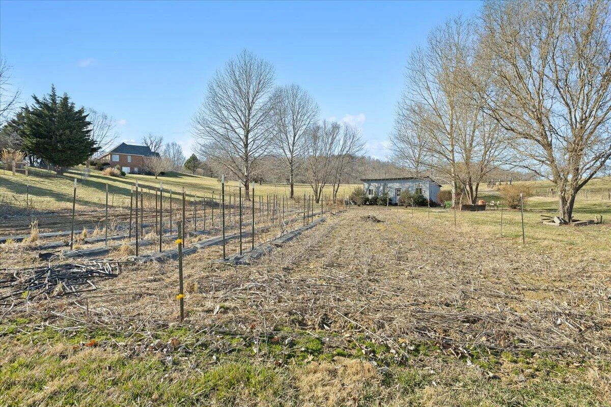 360 Maple Ridge LN - Photo 44