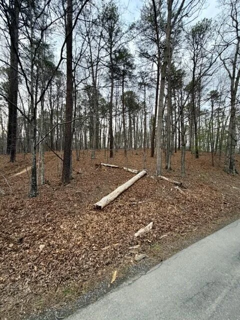 0 Timberview RD - Photo 2