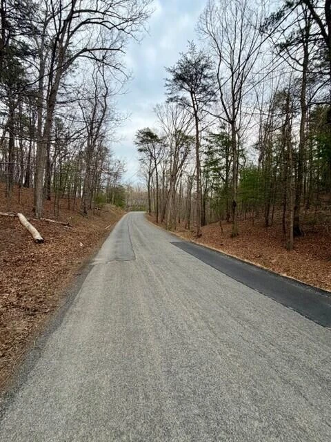 0 Timberview RD - Photo 3
