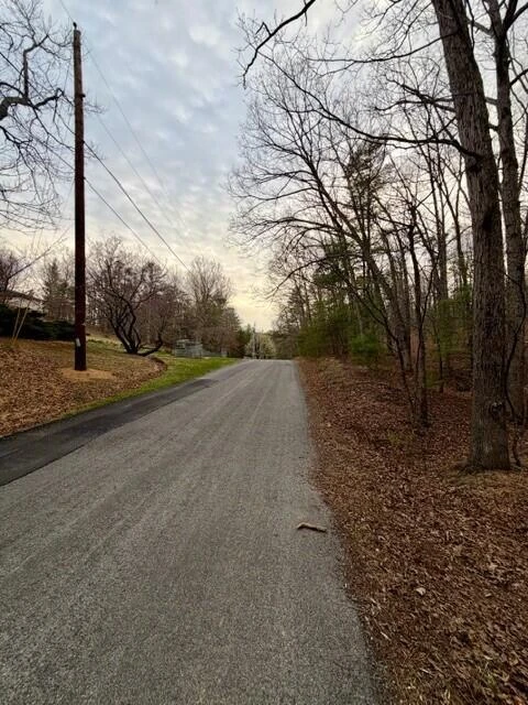 0 Timberview RD - Photo 4