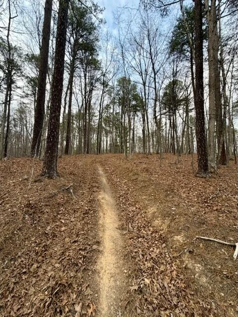 0 Timberview RD - Photo 5
