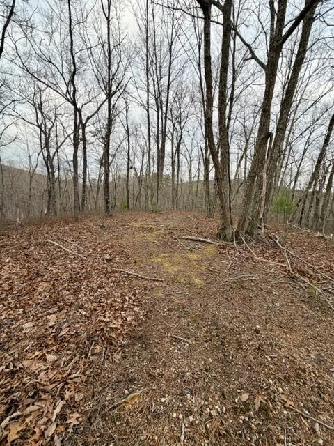0 Timberview RD - Photo 6