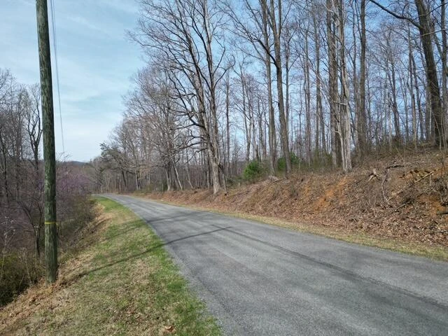 00 MARSHALL HILL RD - Photo 3
