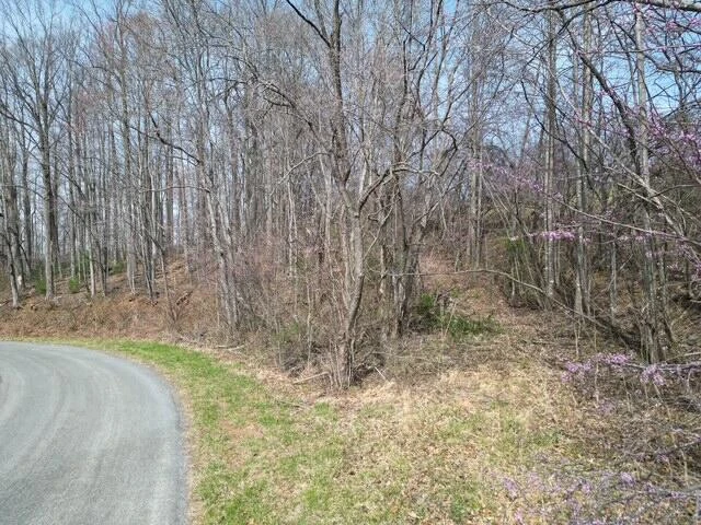 00 MARSHALL HILL RD - Photo 4