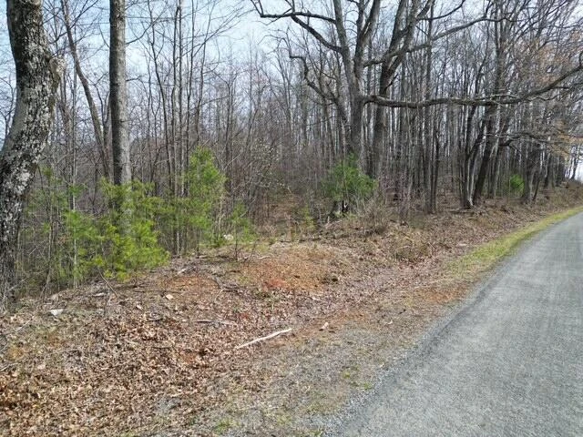 00 MARSHALL HILL RD - Photo 5
