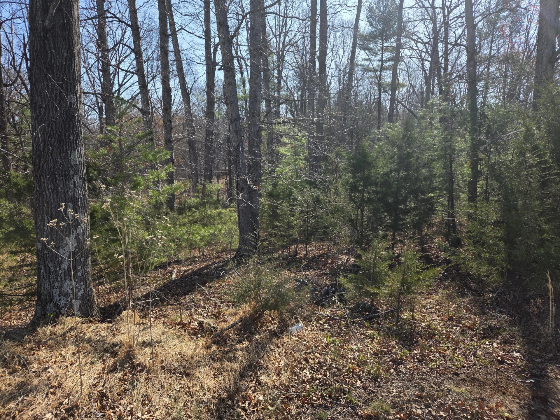 0 Hopkins RD - Photo 2