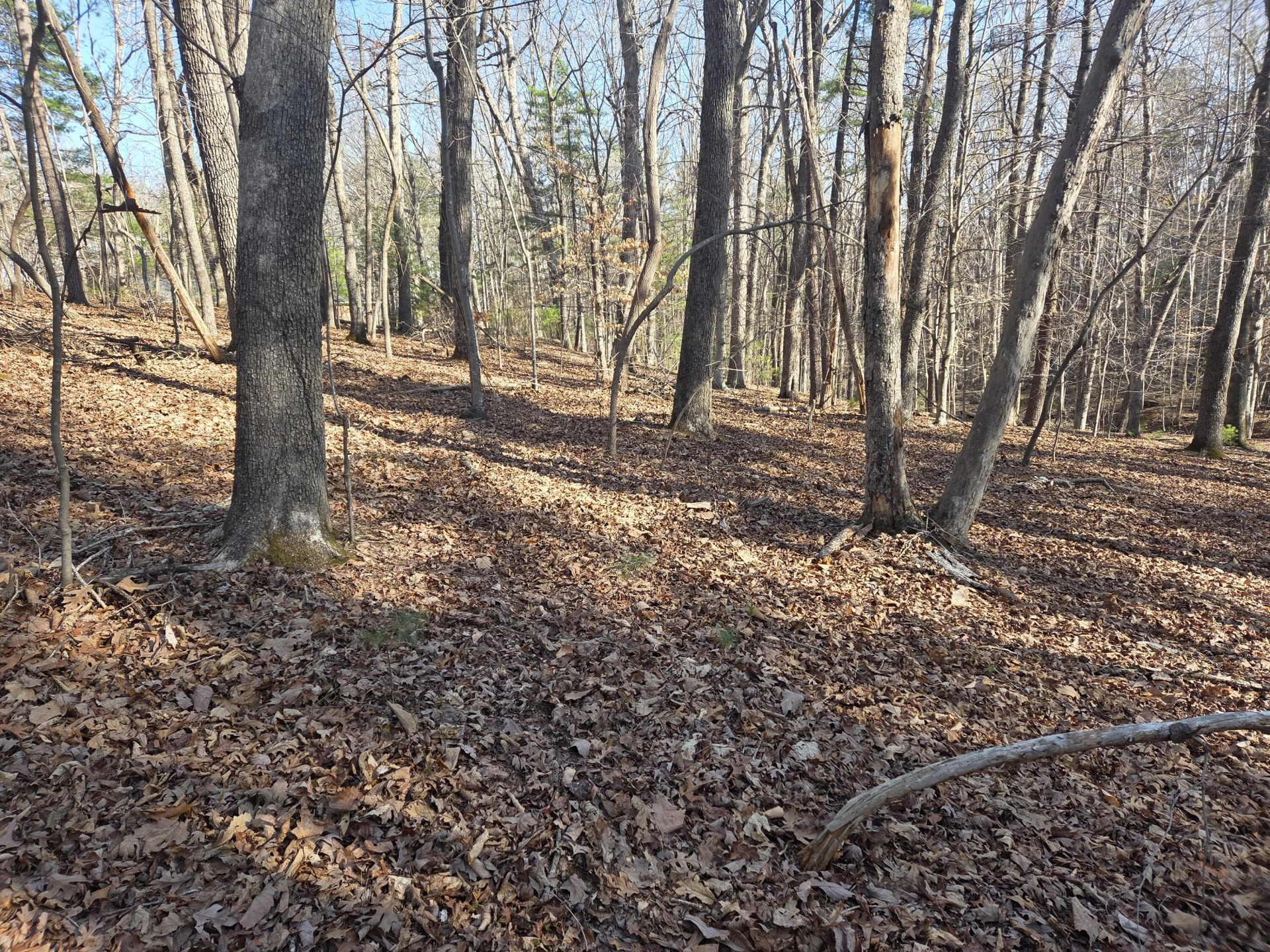0 Hopkins RD - Photo 3