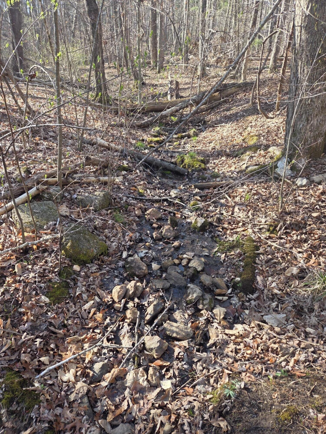 0 Hopkins RD - Photo 4