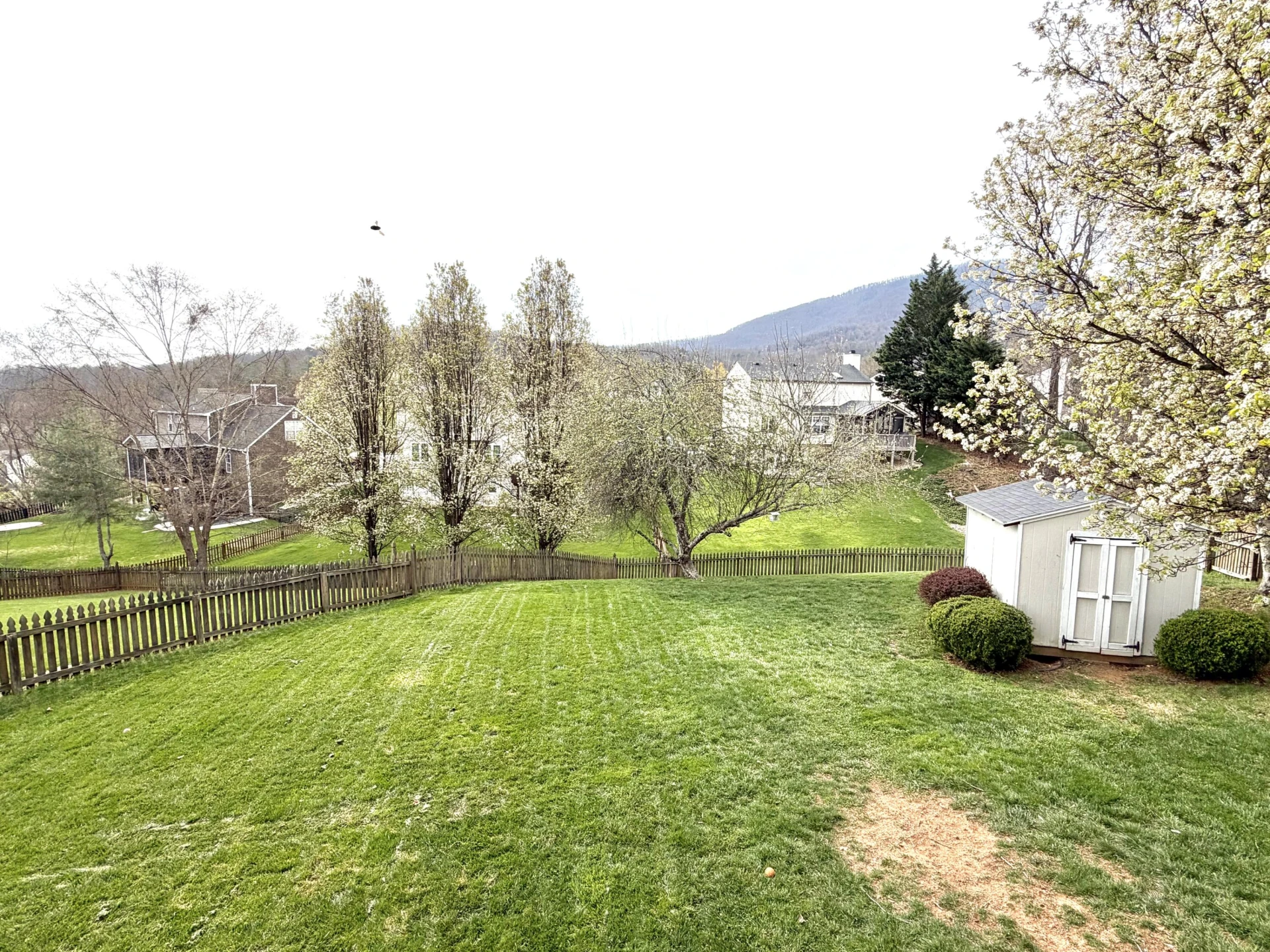 6219 Ashmont DR - Photo 24