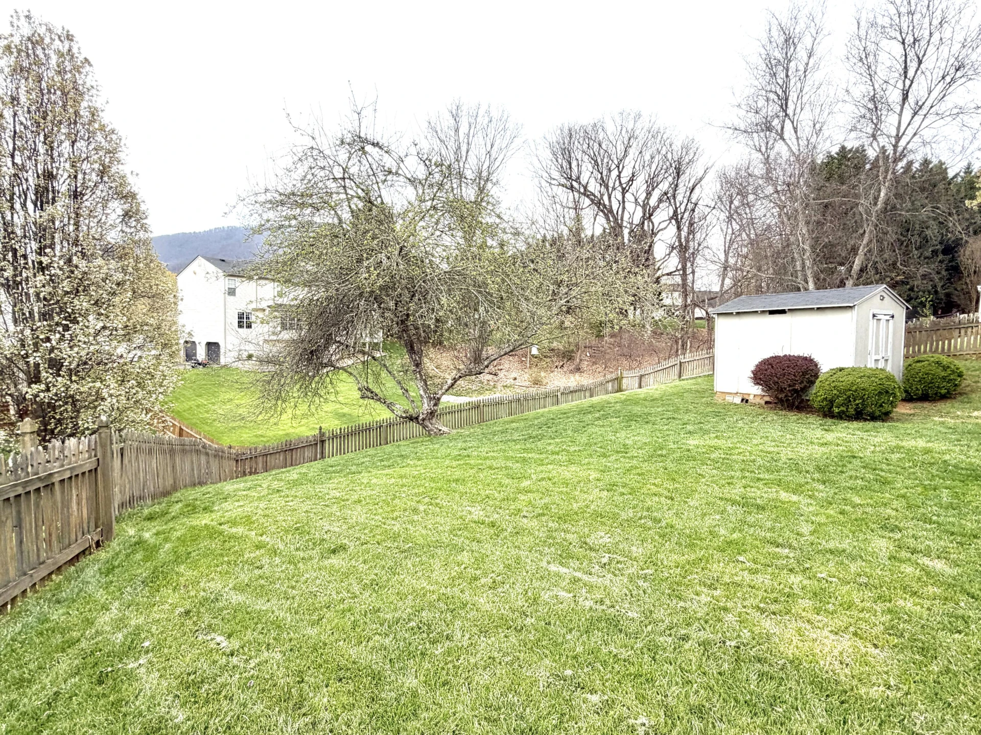 6219 Ashmont DR - Photo 54