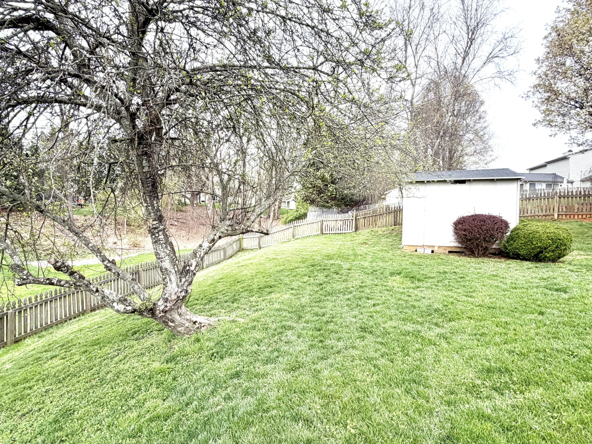 6219 Ashmont DR - Photo 55
