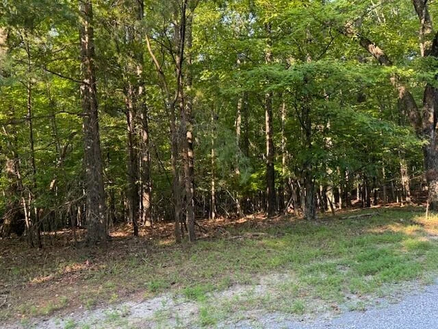 LOT 22 Woodshire DR