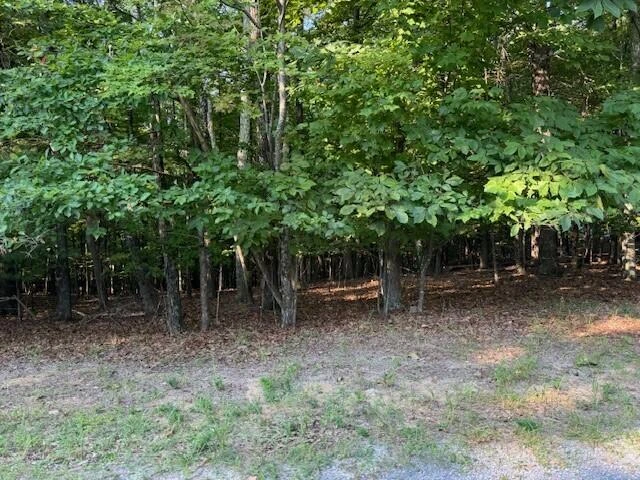 LOT 22 Woodshire DR - Photo 3