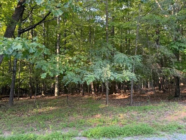 LOT 22 Woodshire DR - Photo 4