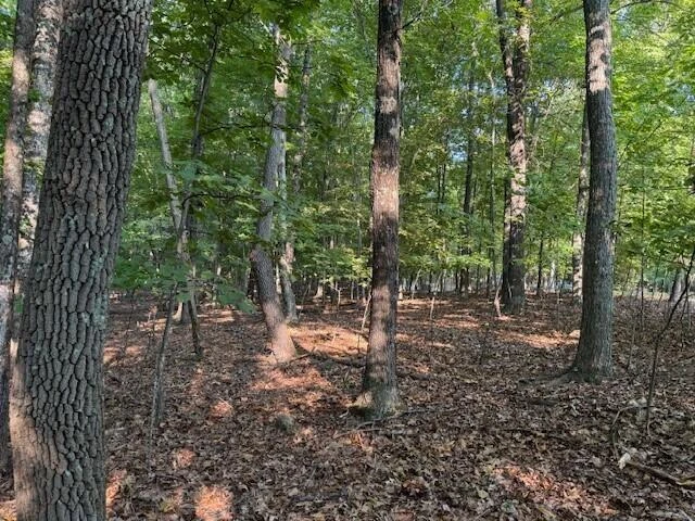 LOT 22 Woodshire DR - Photo 5