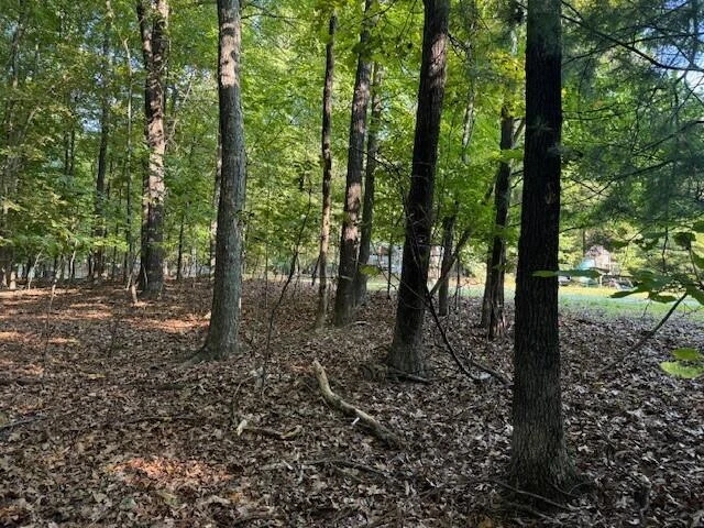 LOT 22 Woodshire DR - Photo 6