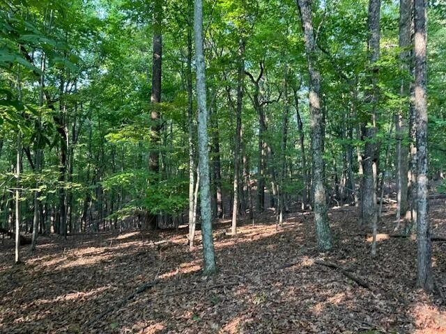 LOT 22 Woodshire DR - Photo 7