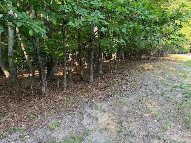 LOT 22 Woodshire DR - Photo 8