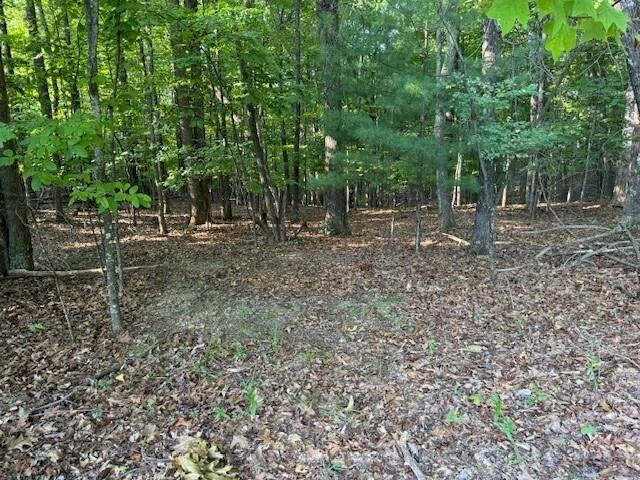 LOT 22 Woodshire DR - Photo 9