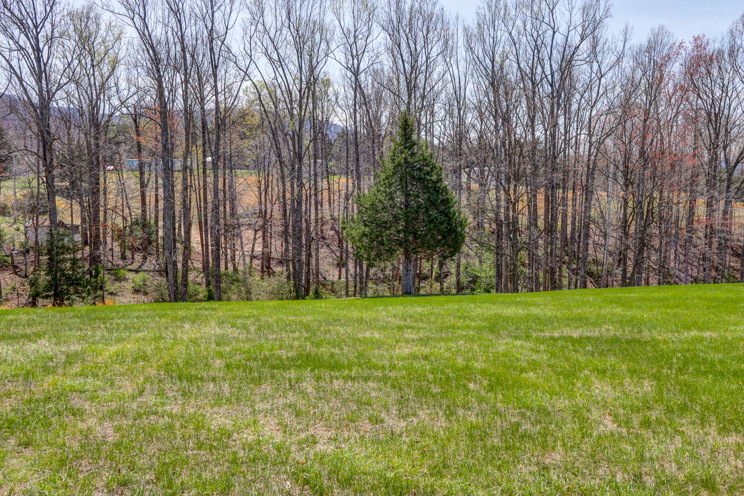 2352 Union Church RD - Photo 67