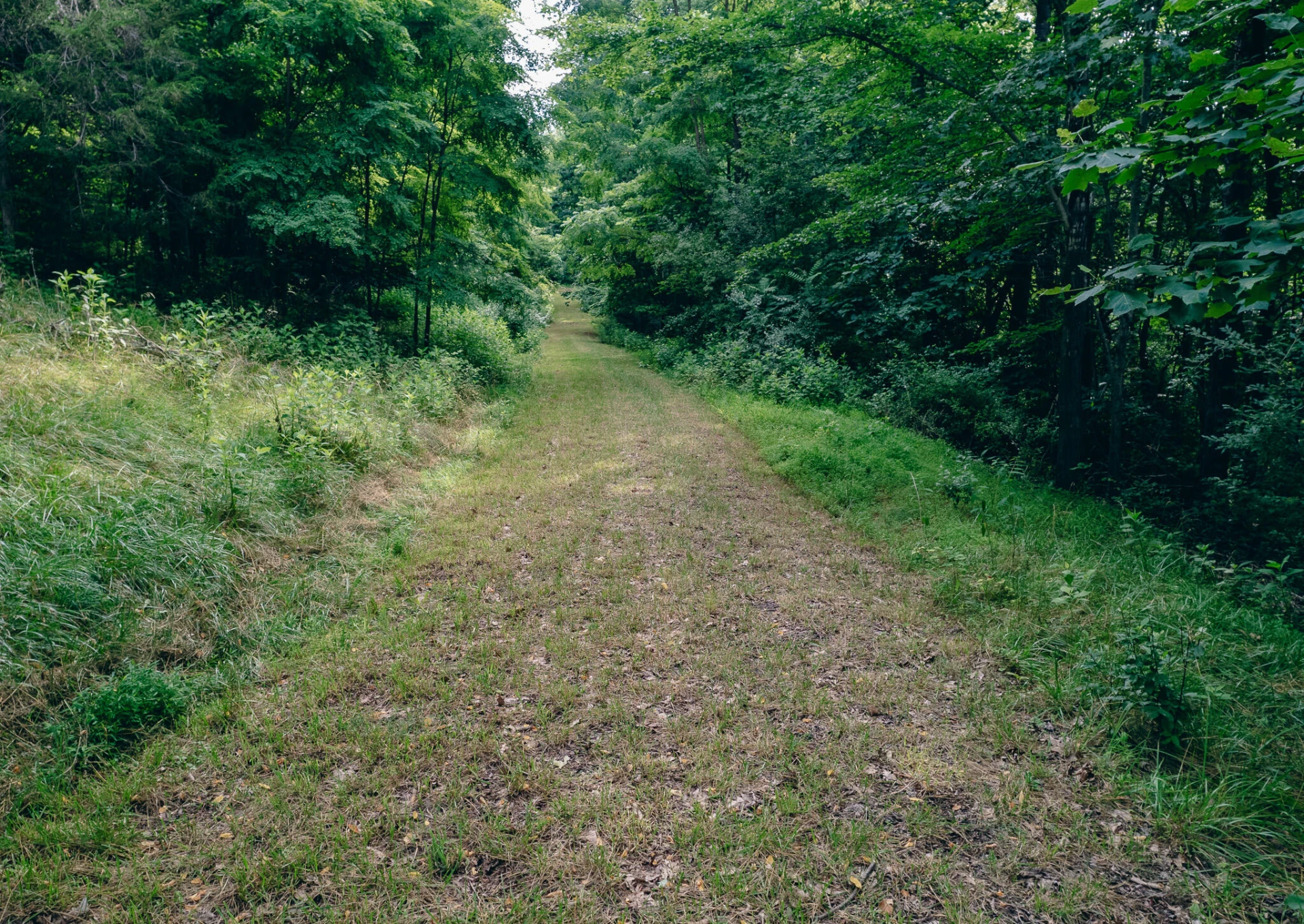 0 Reid RD - Photo 14