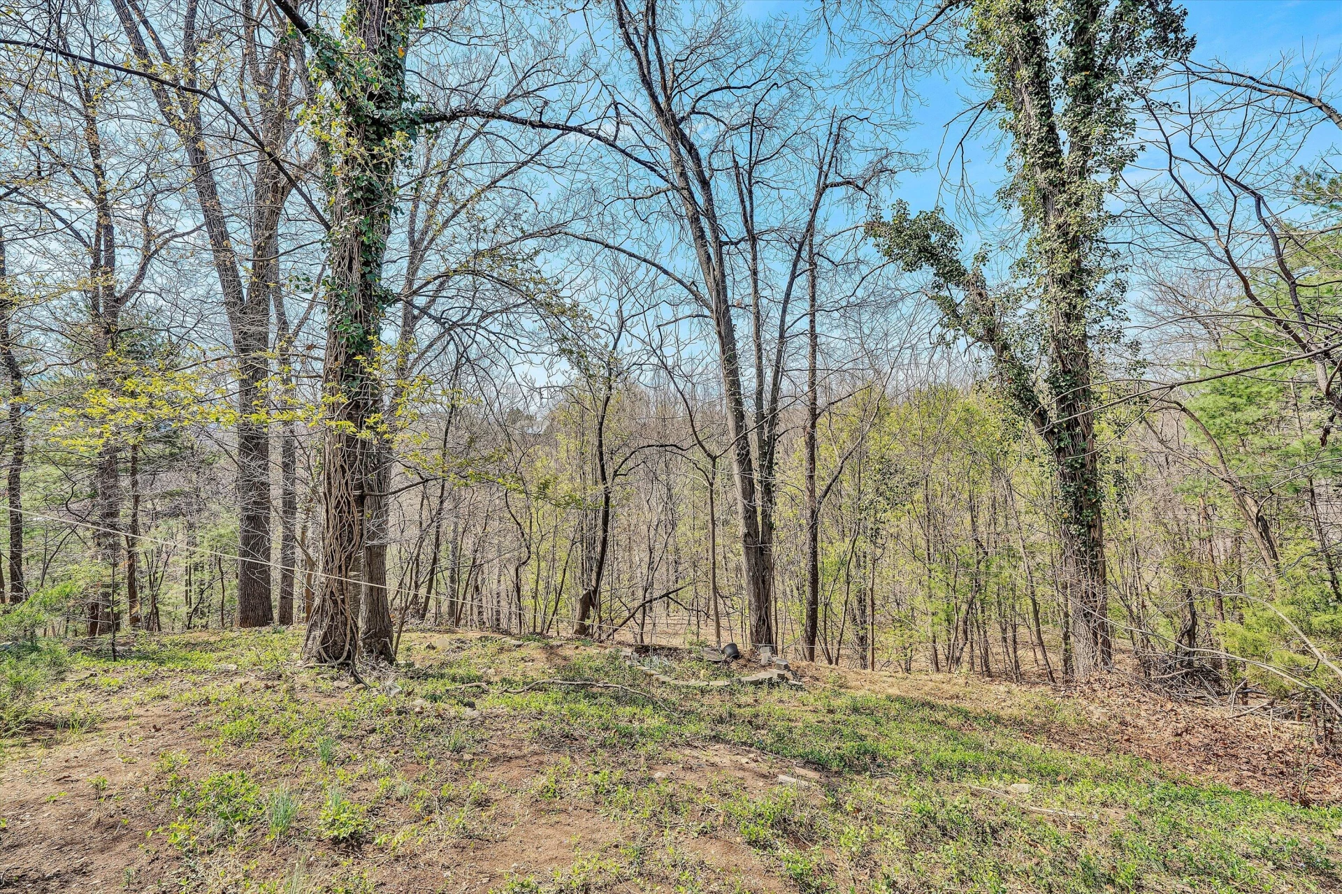 3259 Rasmont RD - Photo 35