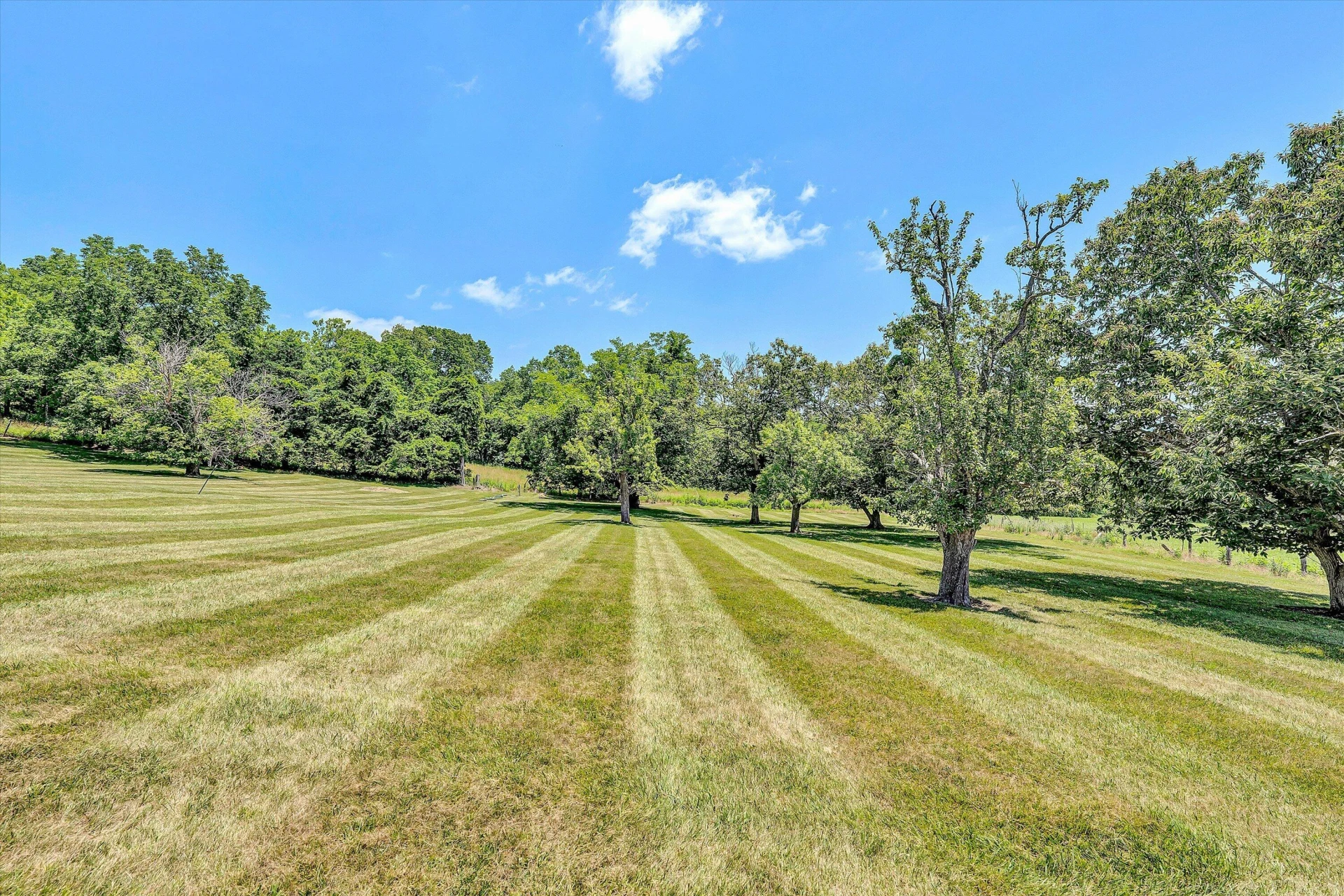 1066 Greyledge RD - Photo 69