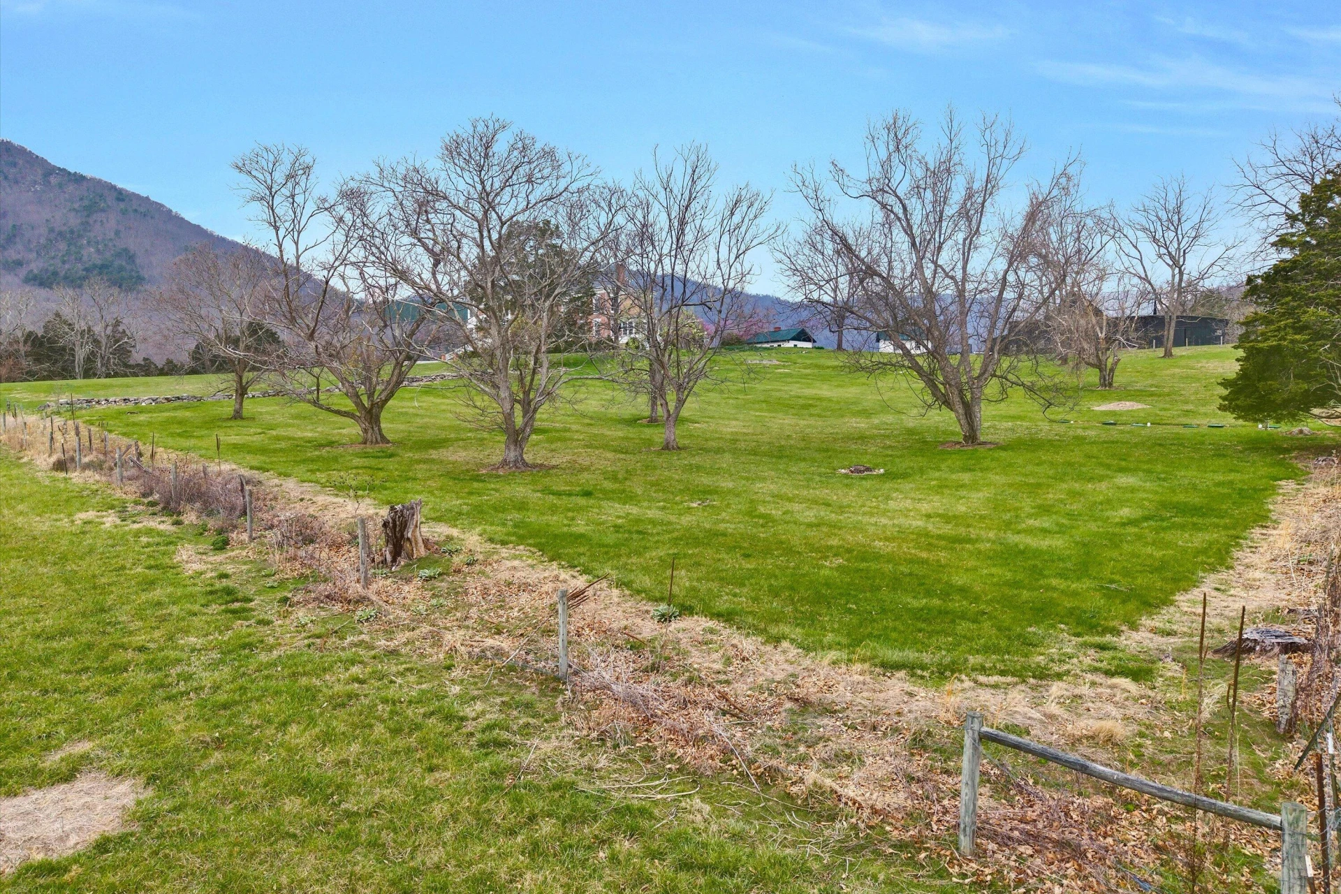 1066 Greyledge RD - Photo 93